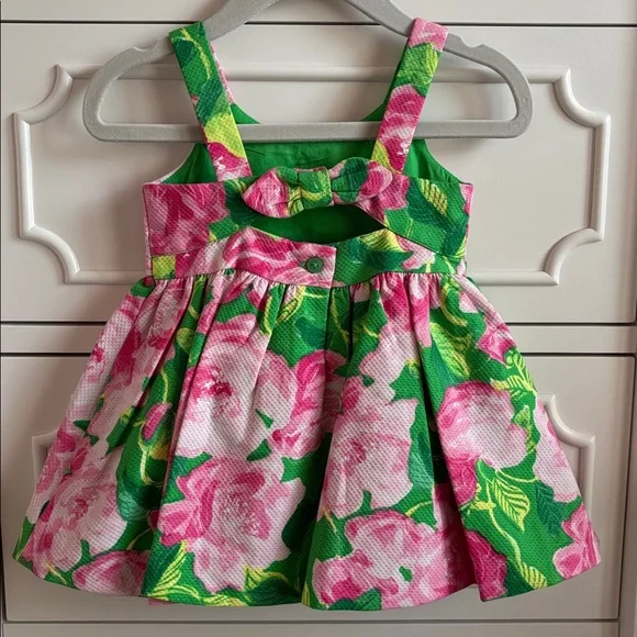 NWT Janie and Jack Baby Girl Rose Pleated Pink & Green Dress Size 3-6 Months - Picture 6 of 9